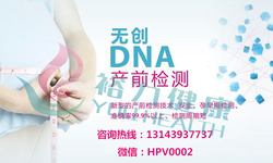 无创DNA1