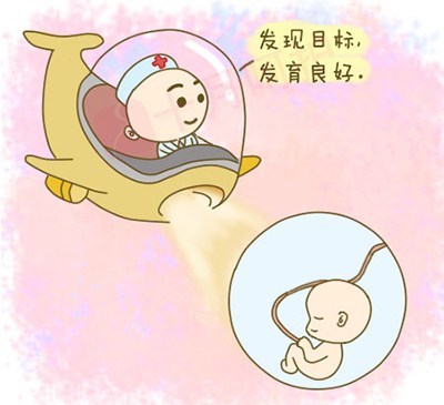产前检测1